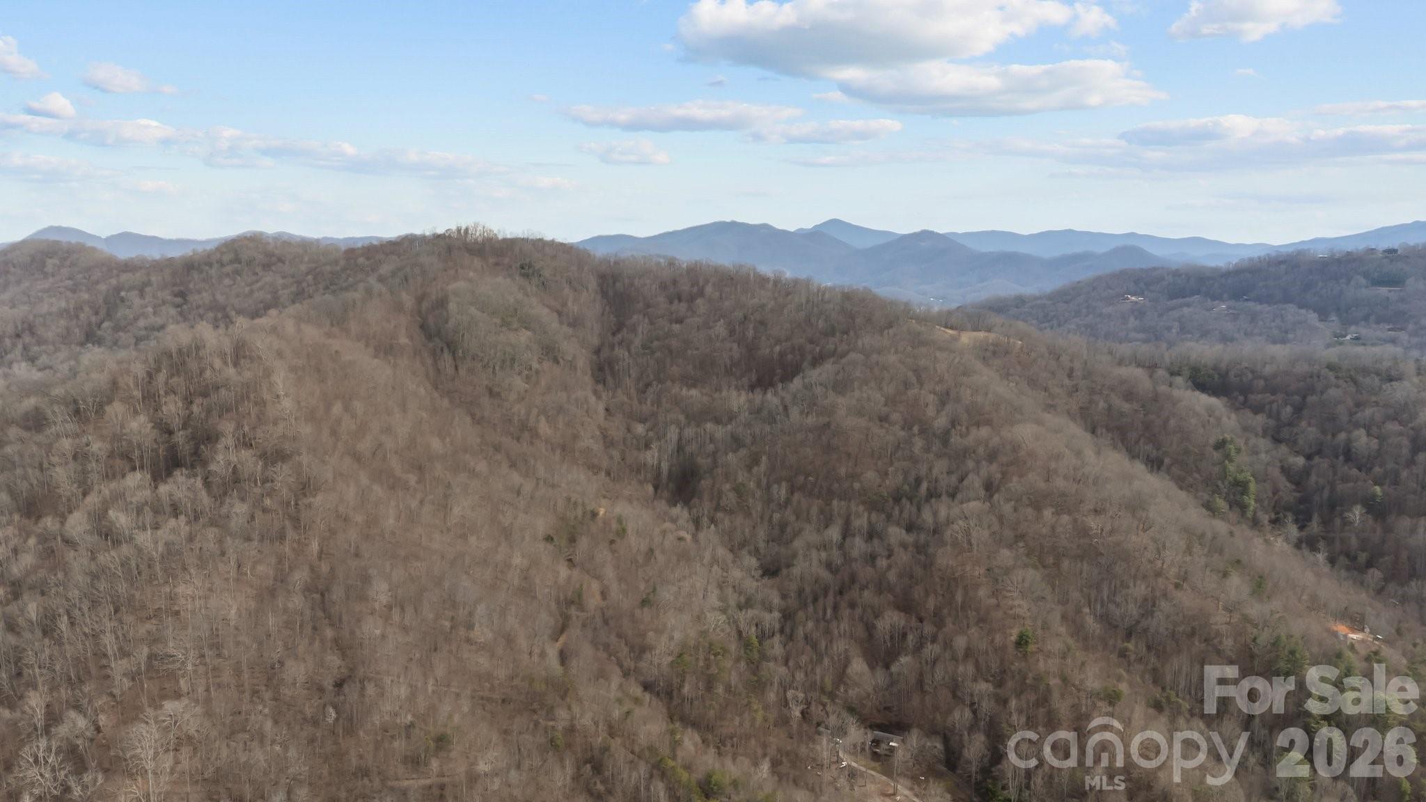 99999 Haynes Cove Clyde, NC 28721 - Photo 7 of 17 a view of a mountain in the distance in a cloudy sky