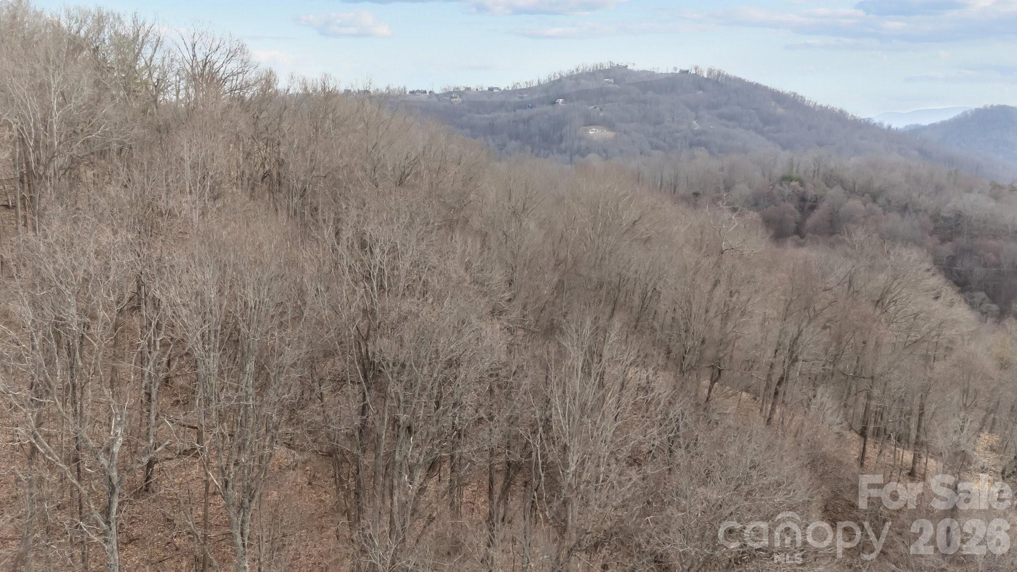 99999 Haynes Cove Clyde, NC 28721 - Photo 10 of 17 a view of a dry field with mountains in the background