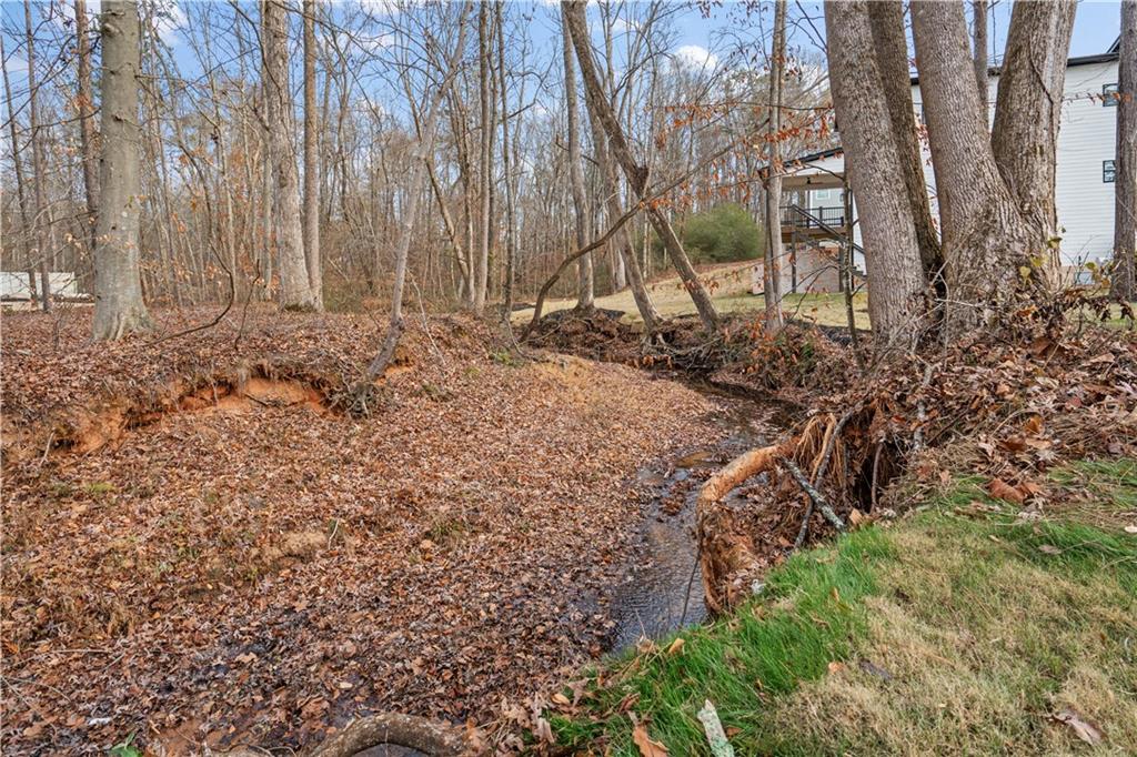 744 Crystal Bay Road Villa Rica, GA 30180 - Photo 56 of 69 a view of backyard with tall trees