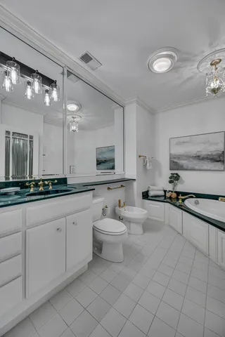 a large bathroom with a sink a large mirror and a toilet