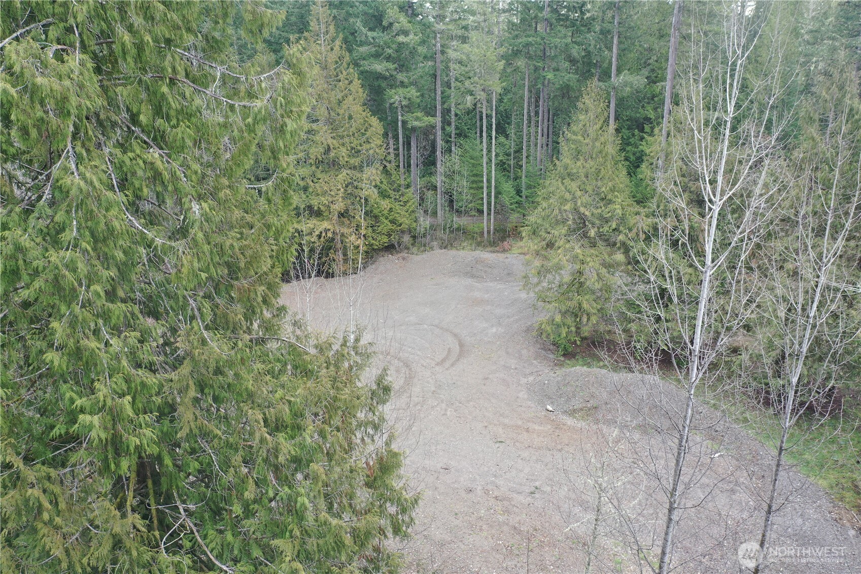 721 East Phillips Lake Loop Road Shelton, WA 98584 - Photo 12 of 30 a view of a forest with trees in the background