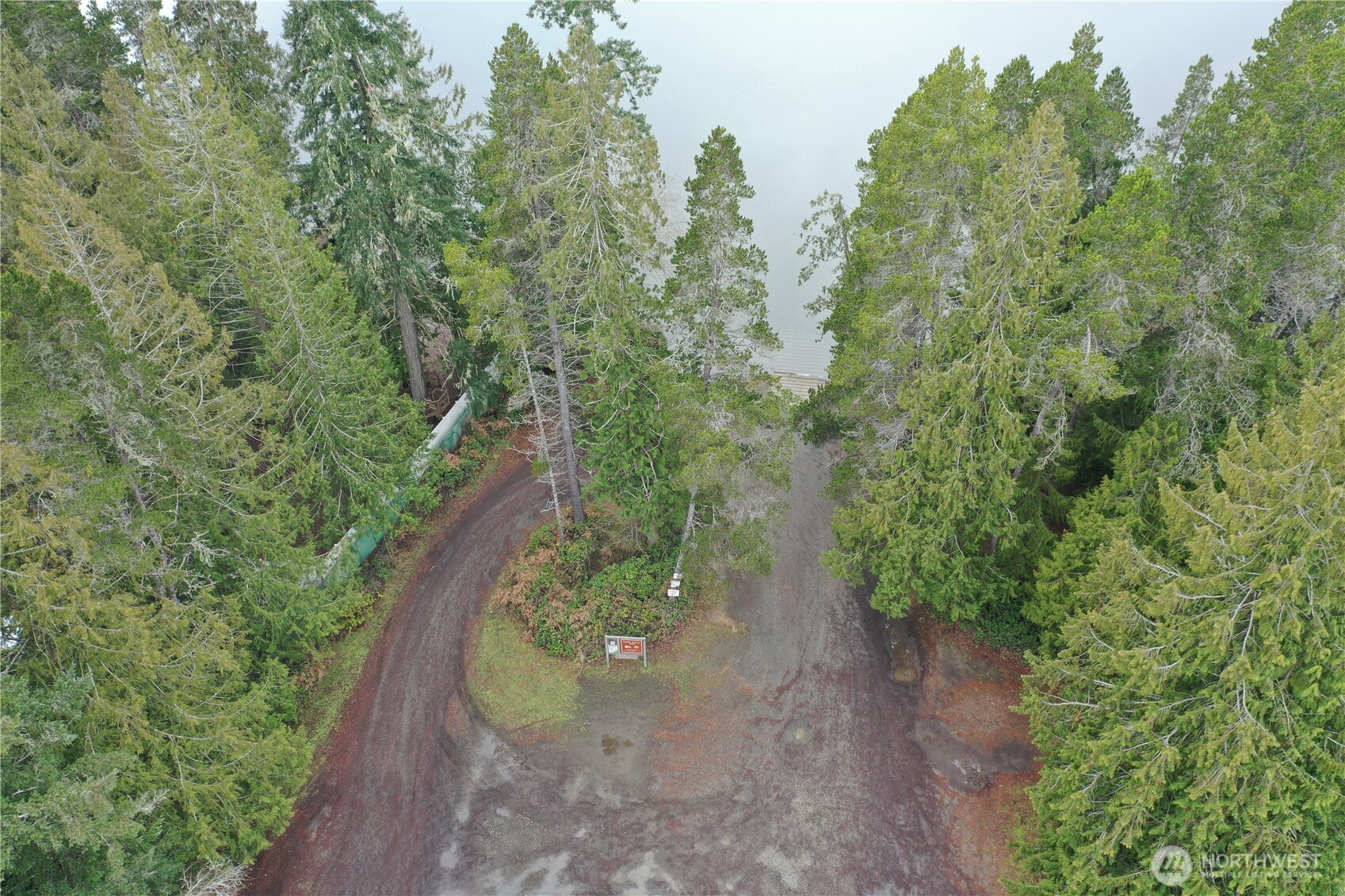 721 East Phillips Lake Loop Road Shelton, WA 98584 - Photo 18 of 30 a view of a forest with trees