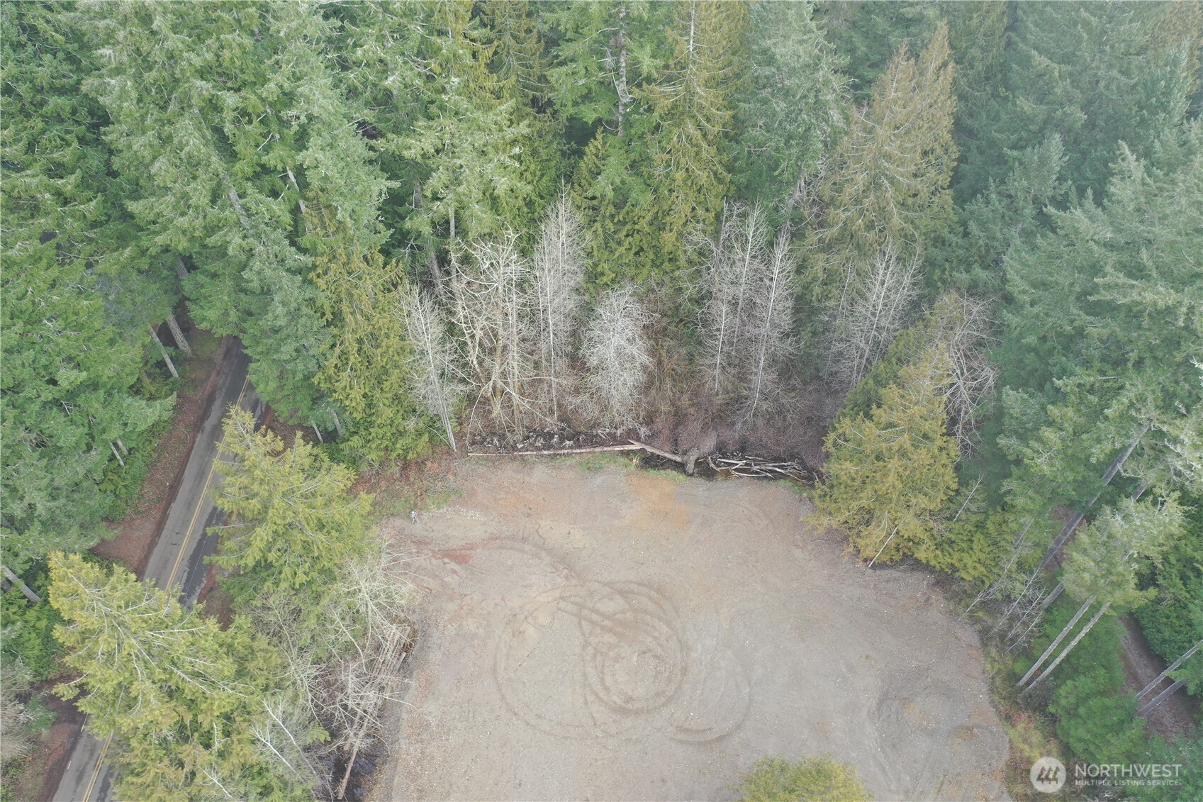 721 East Phillips Lake Loop Road Shelton, WA 98584 - Photo 8 of 30 a view of a yard with a tree