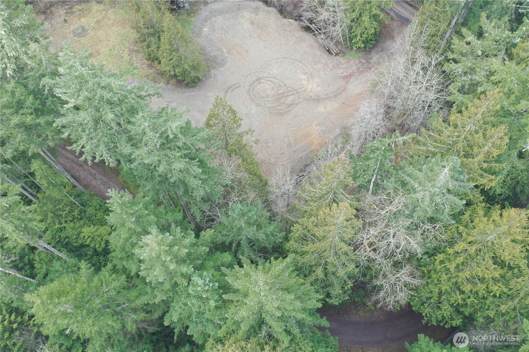 721 East Phillips Lake Loop Road Shelton, WA 98584 - Photo 9 of 30 a view of a forest with a tree