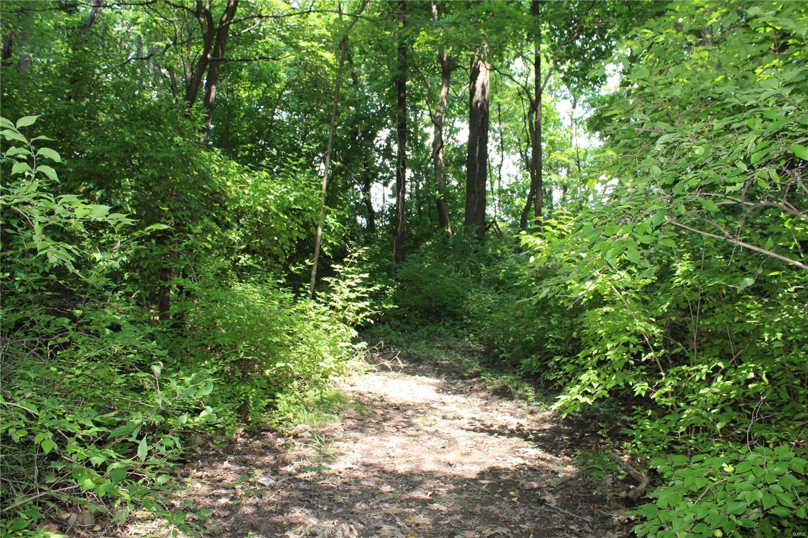 353 Johnson Road O'Fallon, IL 62269 - Photo 8 of 89