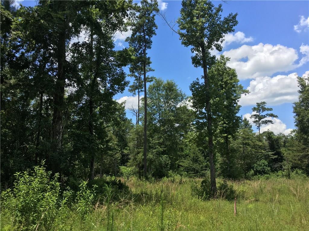 0 South Fitzmorris & Delaune Road Covington, LA 70435 - Photo 1 of 12 Gallery Image 1