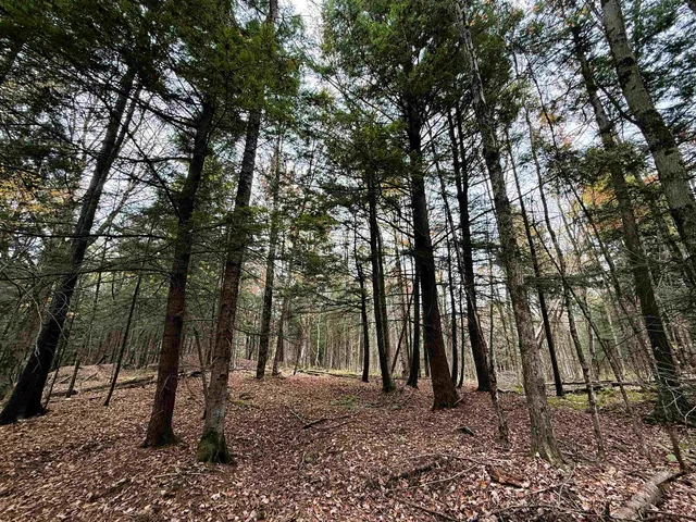 $1,190,000 | 972 Farrar Road, Newport Town, VT 05857