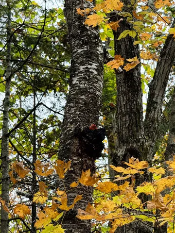 $1,190,000 | 972 Farrar Road, Newport Town, VT 05857