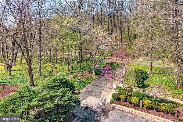 $6,850 | 4838 Drummond Avenue, Chevy Chase, MD 20815