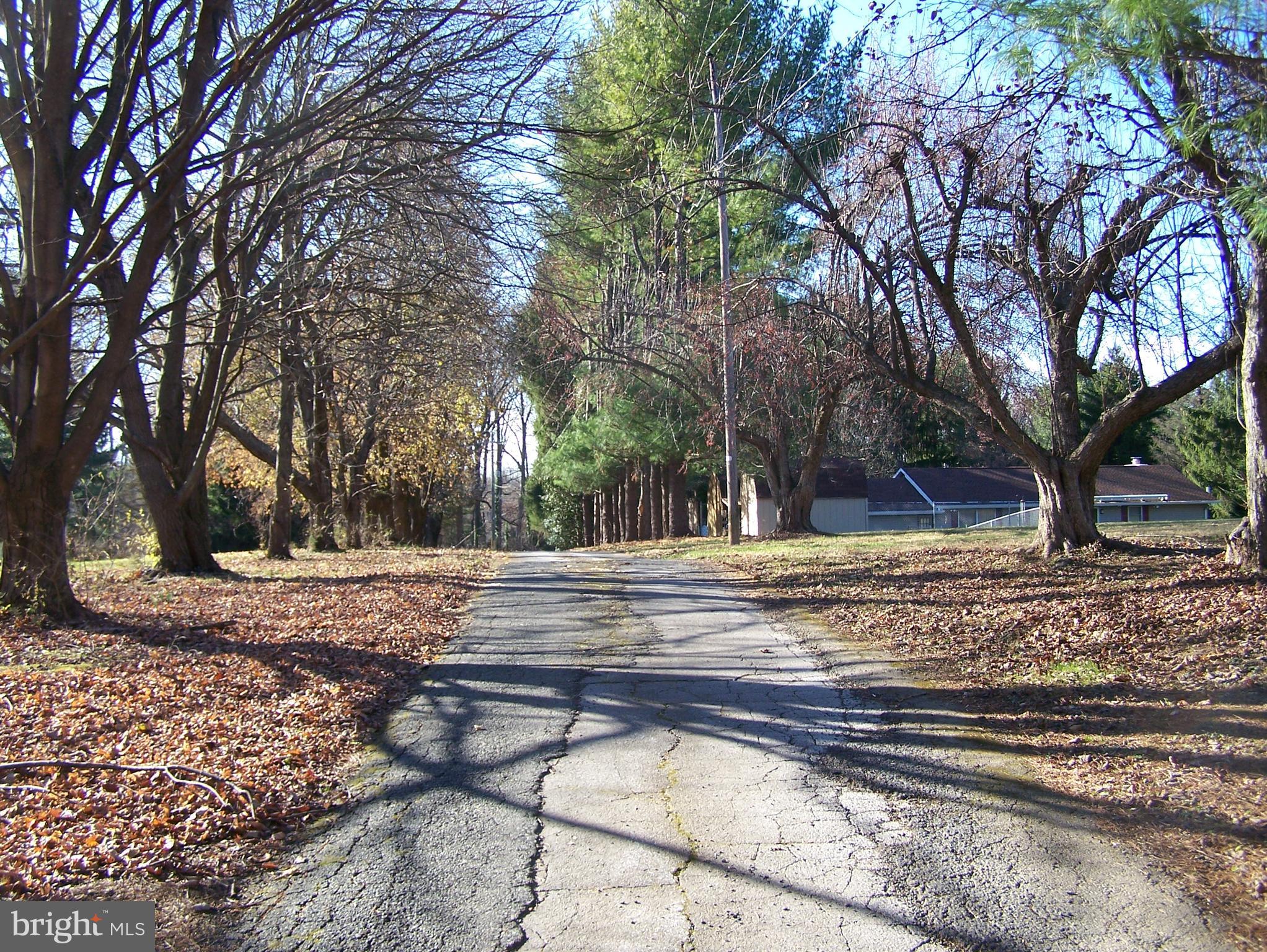 5 Murkle Road Westminster, MD 21158 - Photo 6 of 7 Driveway leading away from lot - to Murkle Rd