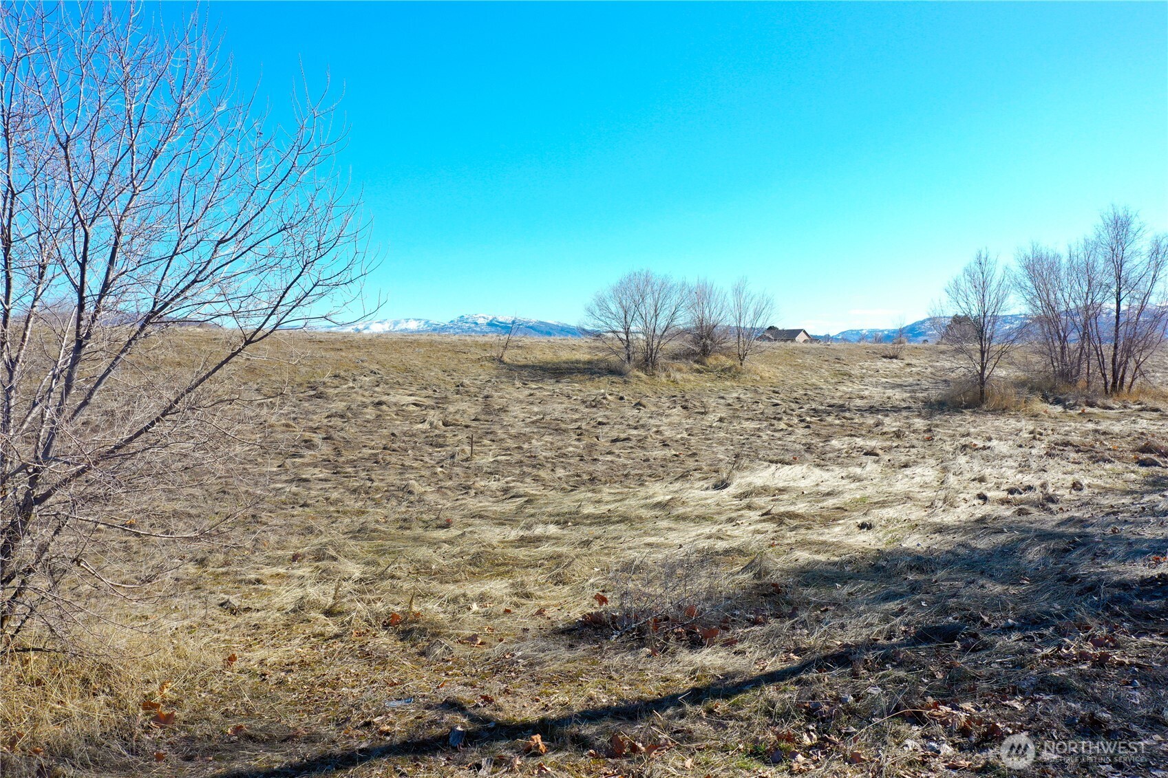 a view of dirt yard with wooden fence