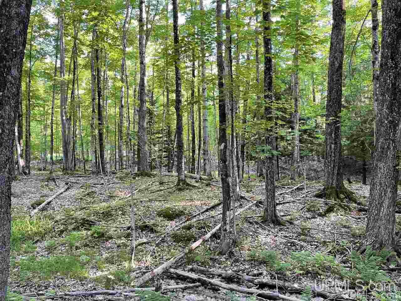 Tbd Tbd Saari Road Lanse, MI 49946 - Photo 21 of 27