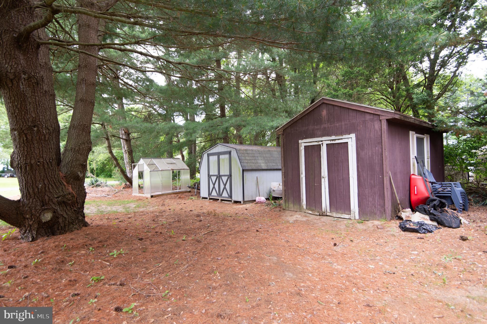5802 Phyllis Drive Hurlock, MD 21643 - Photo 25 of 26 a view of backyard with a barn and a large tree