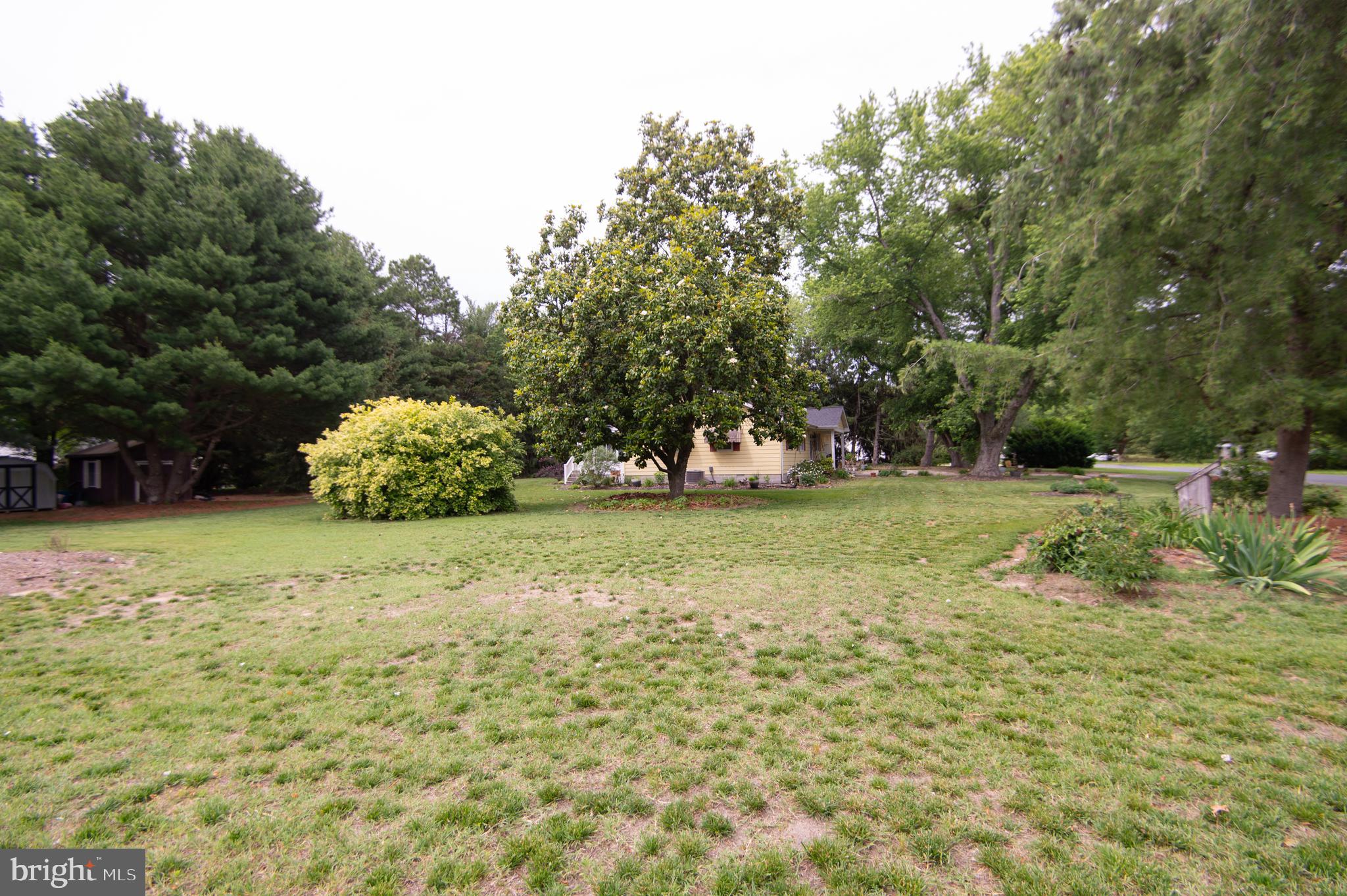 5802 Phyllis Drive Hurlock, MD 21643 - Photo 26 of 26 a bunch of trees and some trees