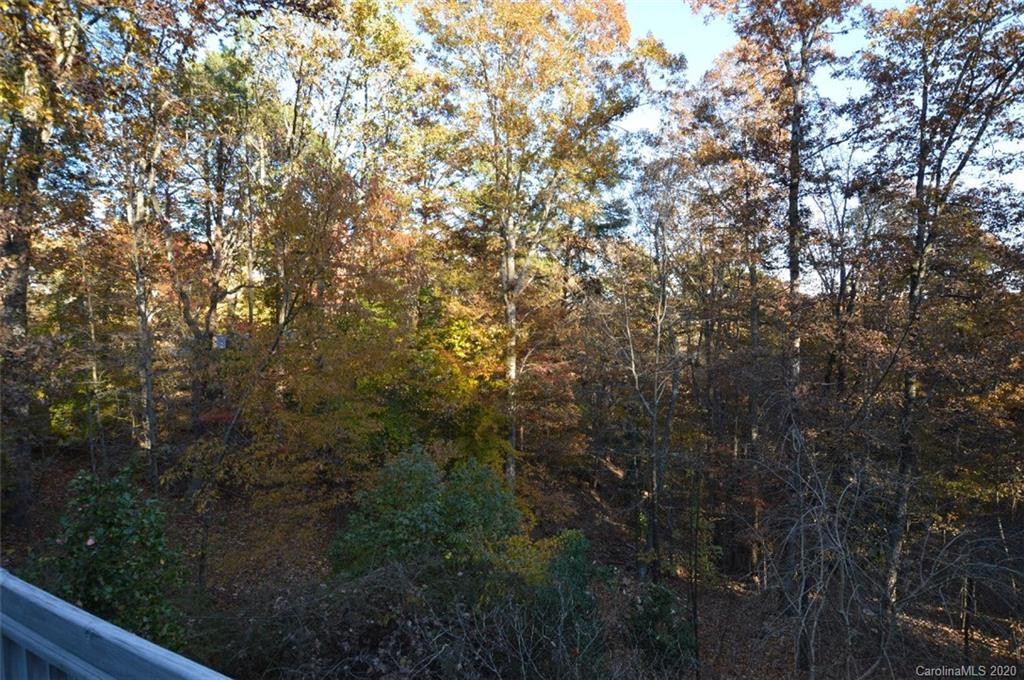170 Fox Covert Lane Tryon, NC 28782 - Photo 30 of 35