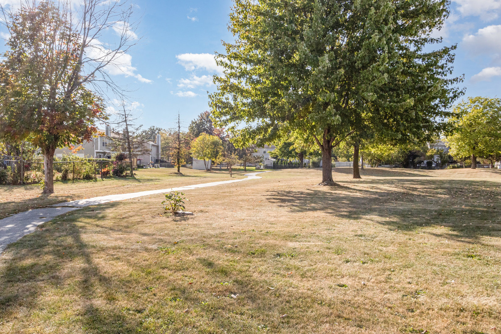 1201 Oak Ridge Drive Streamwood, IL 60107 - Photo 32 of 36 a view of road and trees