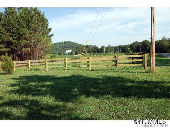 239 Gilbert Road Columbus, NC 28722 - Photo 3 of 20
