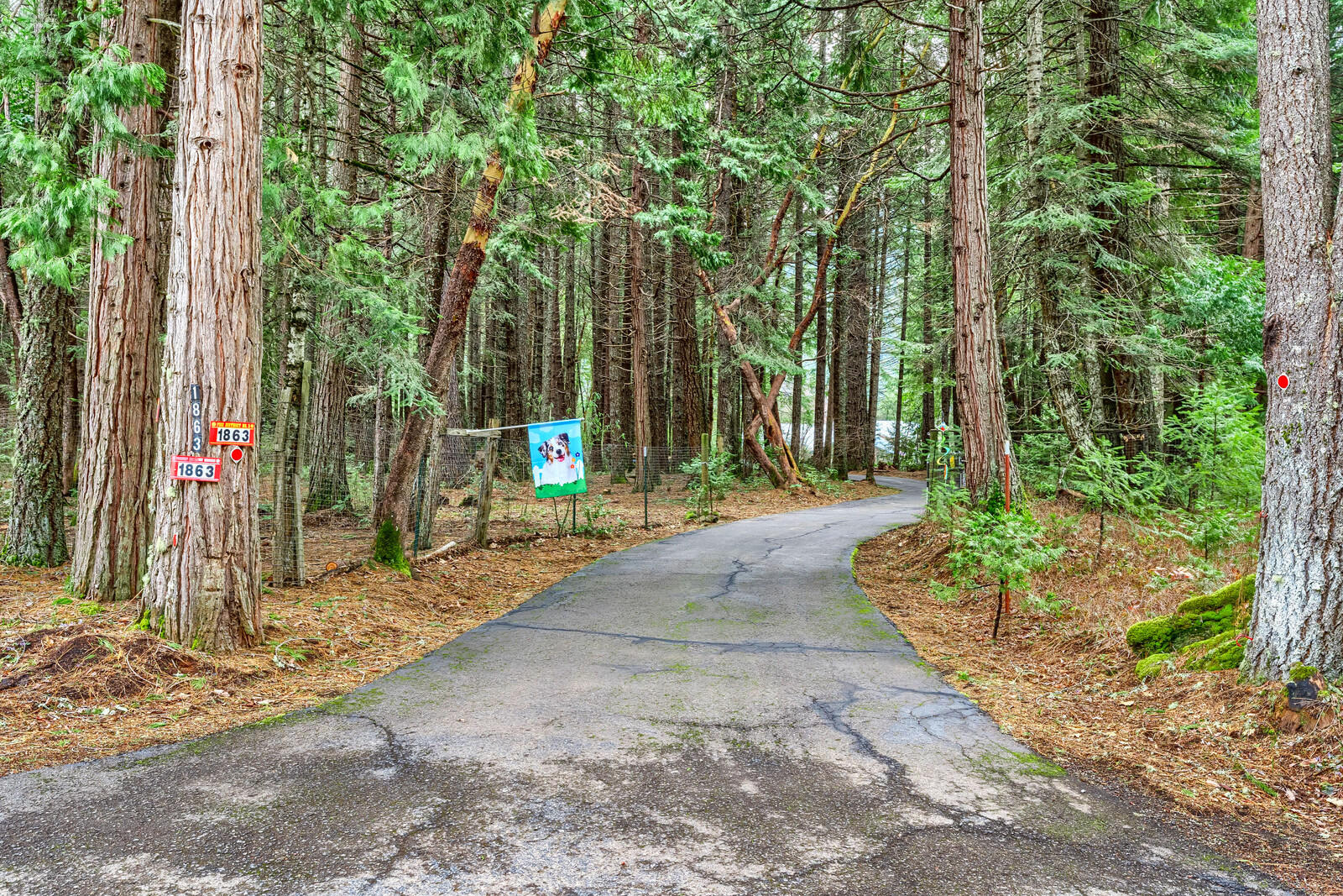 1863 Mill Creek Drive Prospect, OR 97536 - Photo 41 of 53 1863MillCrkDr (7)