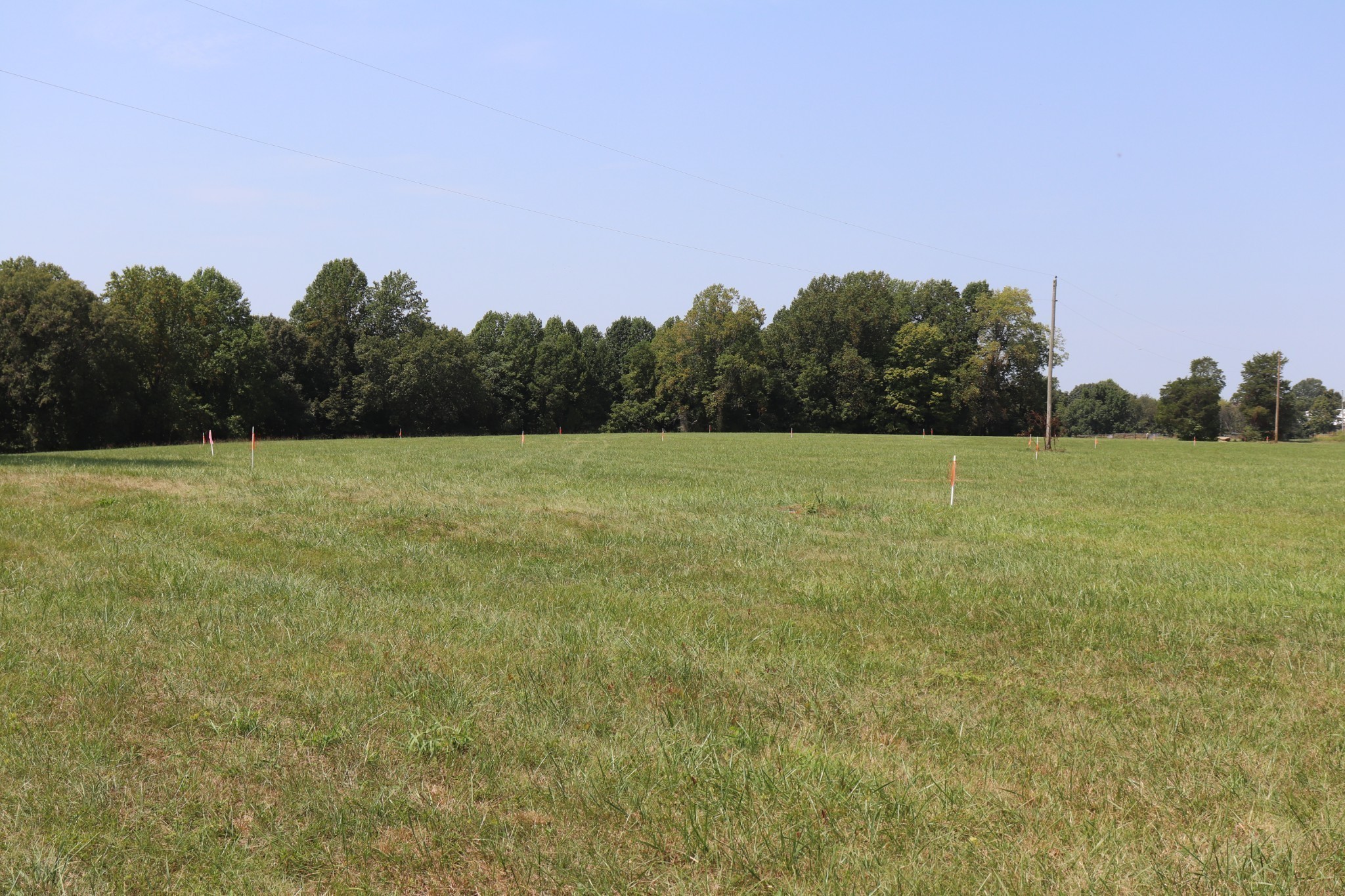 17 Hanestown Road Lafayette, TN 37083 - Photo 8 of 14 Gallery Image 8