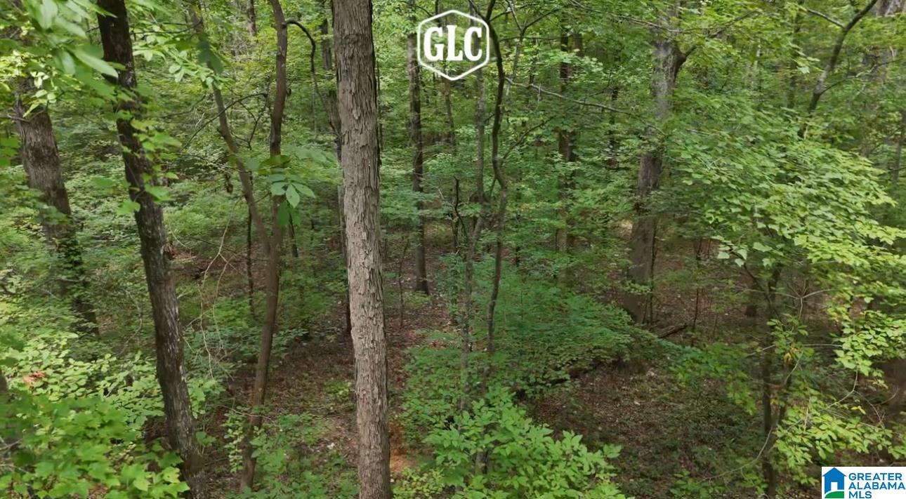 200 Daphne Road, Unit 1 Springville, AL 35146 - Photo 5 of 10