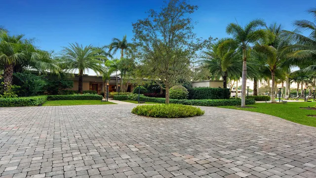 a big yard with palm trees