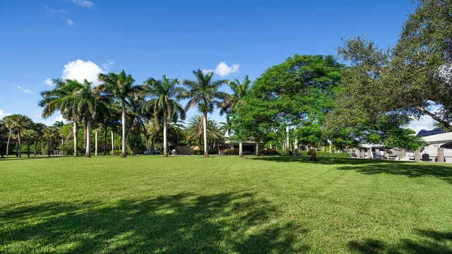 a view of a backyard with potted plants and large trees