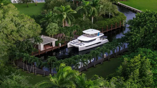 a park with full of palm trees