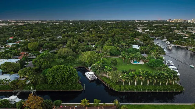 a green field with lots of trees