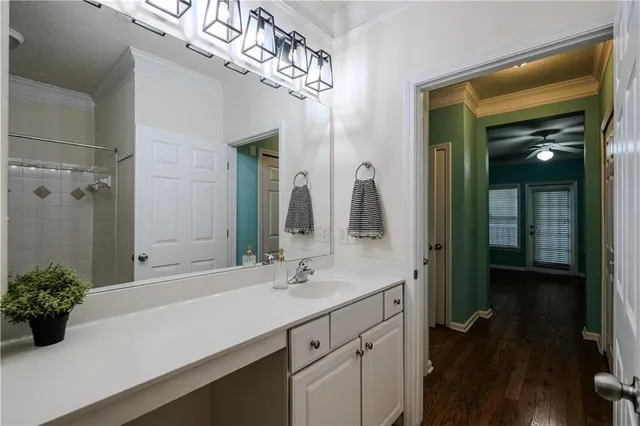 a bathroom with a sink a potted plant and a mirror