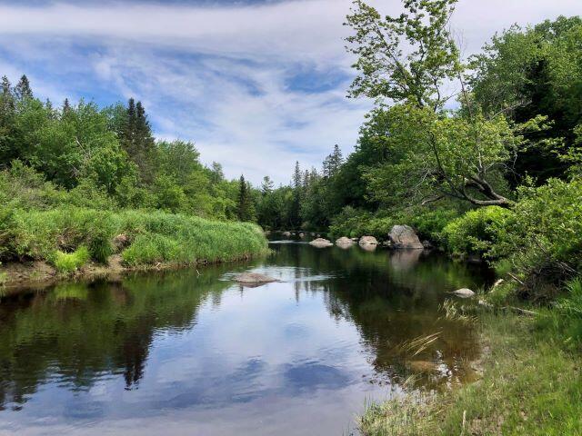 19 Foxtail Road Cherryfield, ME 04622 - Photo 26 of 43 RS-along river