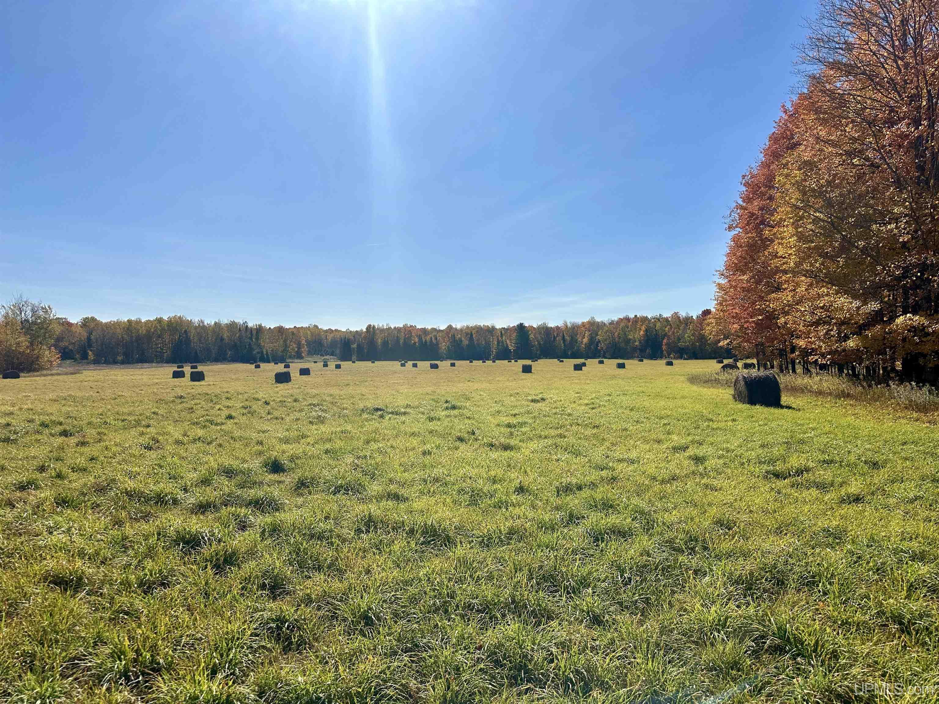 Tbd Tbd Tyner Road Chatham, MI 49816 - Photo 4 of 17