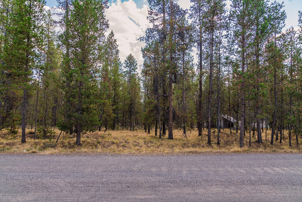 16877 Indigo Road Bend, OR 97707 - Photo 5 of 6 04