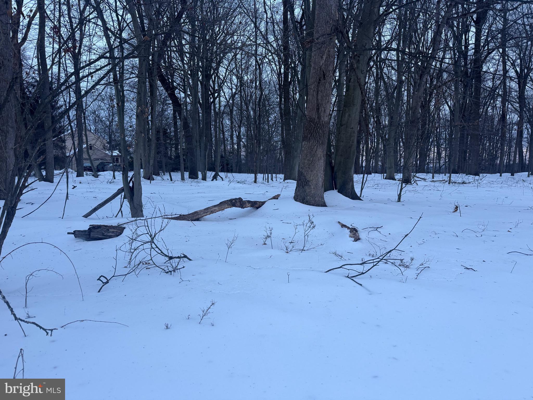 2918 Snake Hill Road Doylestown, PA 18902 - Photo 3 of 6