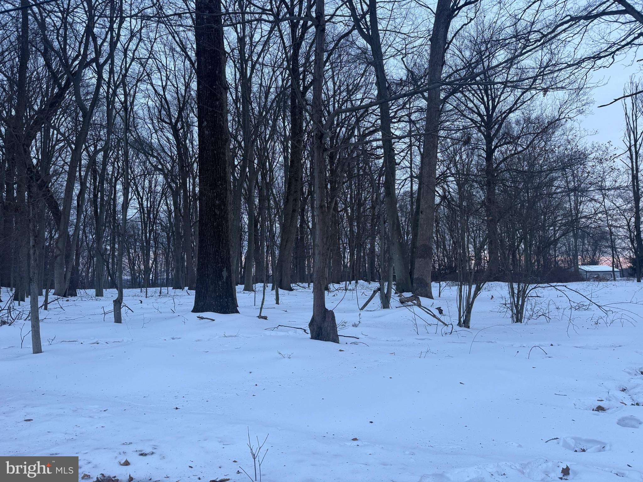 2918 Snake Hill Road Doylestown, PA 18902 - Photo 4 of 6