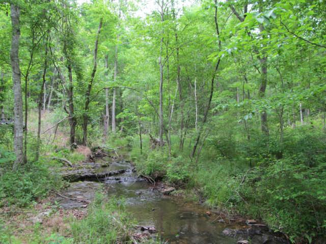 0 Leland Road Summertown, TN 38462 - Photo 1 of 6 Gallery Image 1