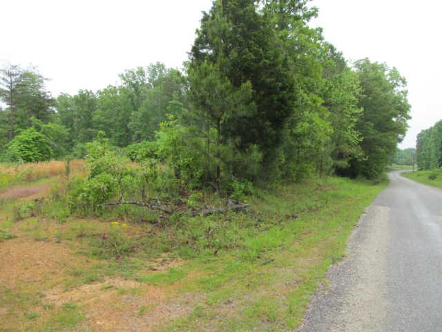 0 Leland Road Summertown, TN 38462 - Photo 2 of 6 Gallery Image 2