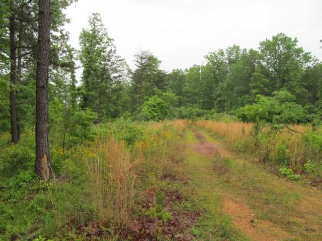 0 Leland Road Summertown, TN 38462 - Photo 3 of 6 Gallery Image 3