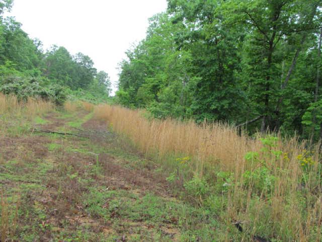 0 Leland Road Summertown, TN 38462 - Photo 4 of 6 Gallery Image 4