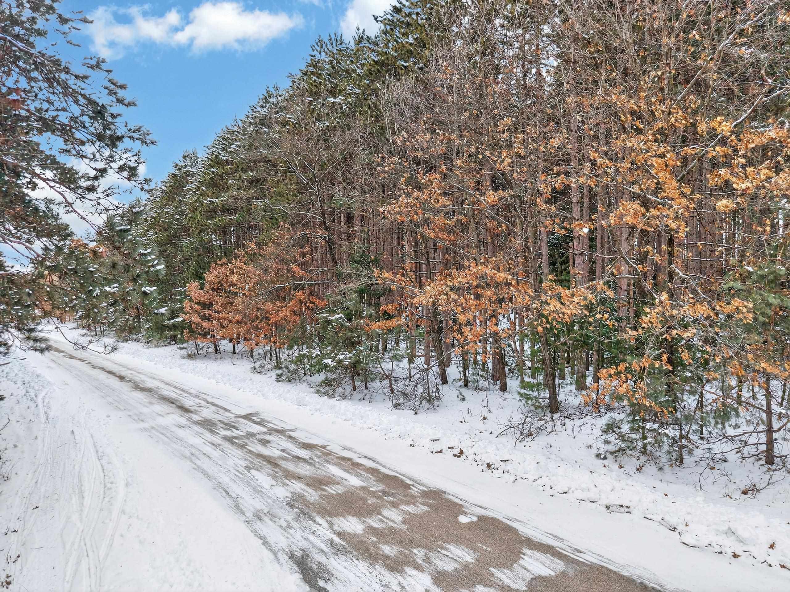 10976 Red Pine Way Waupaca, WI 54981 - Photo 3 of 5