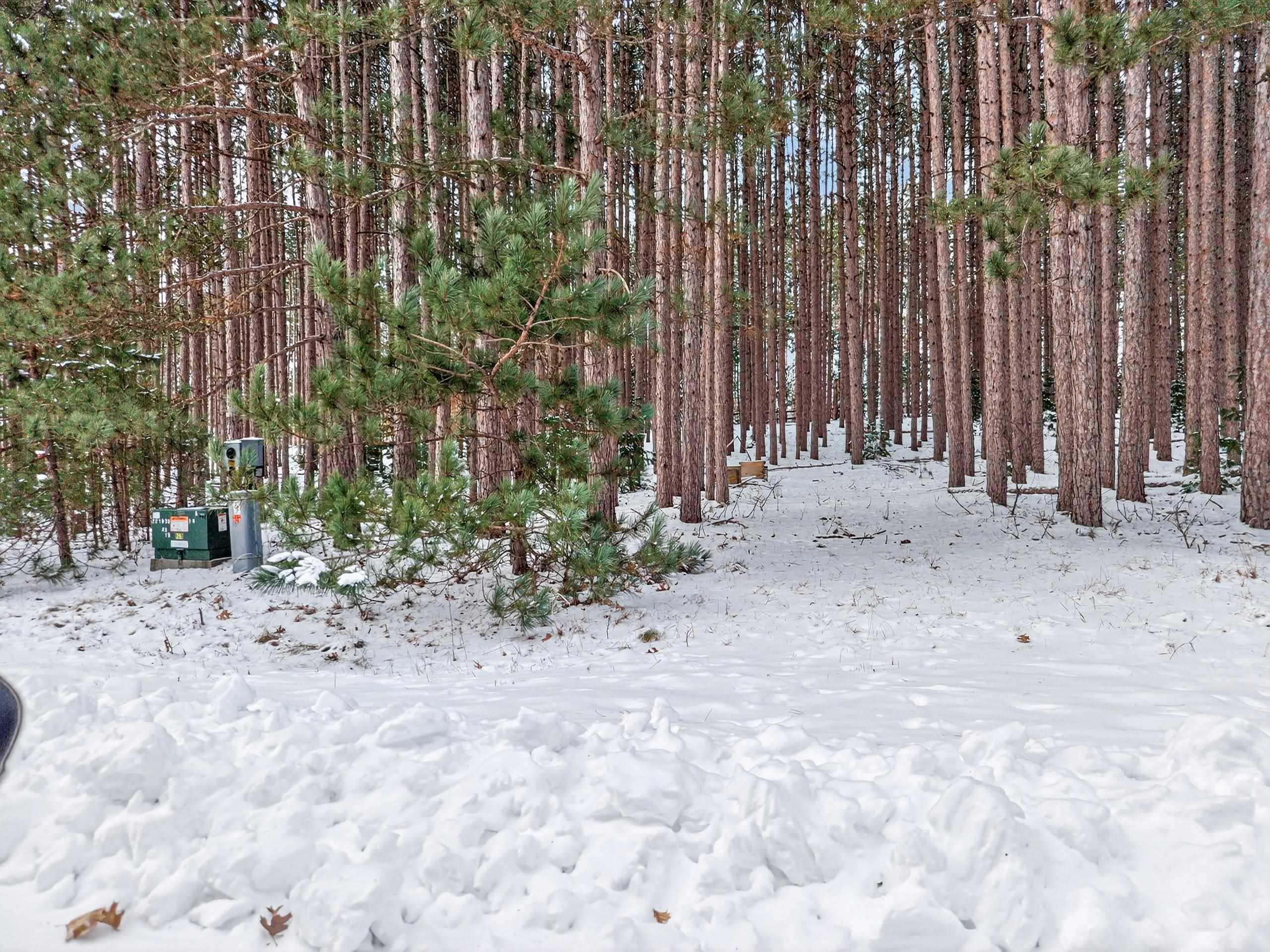 10976 Red Pine Way Waupaca, WI 54981 - Photo 4 of 5