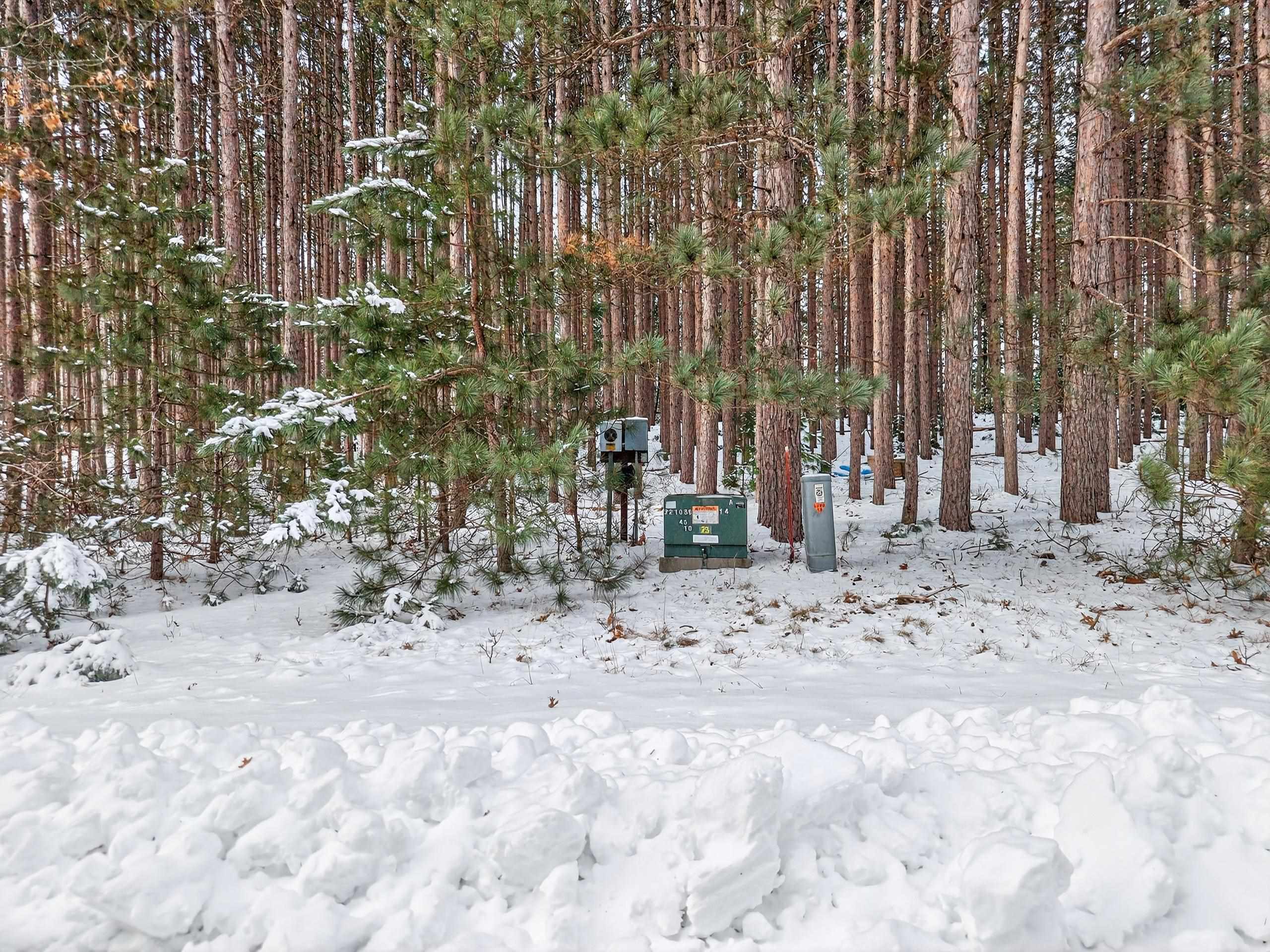 10976 Red Pine Way Waupaca, WI 54981 - Photo 5 of 5