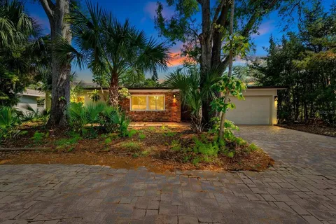 a view of a yard with plants and trees