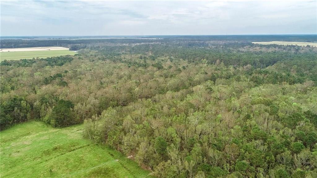 26595 Lebleu Road Kinder, LA 70648 - Photo 25 of 35