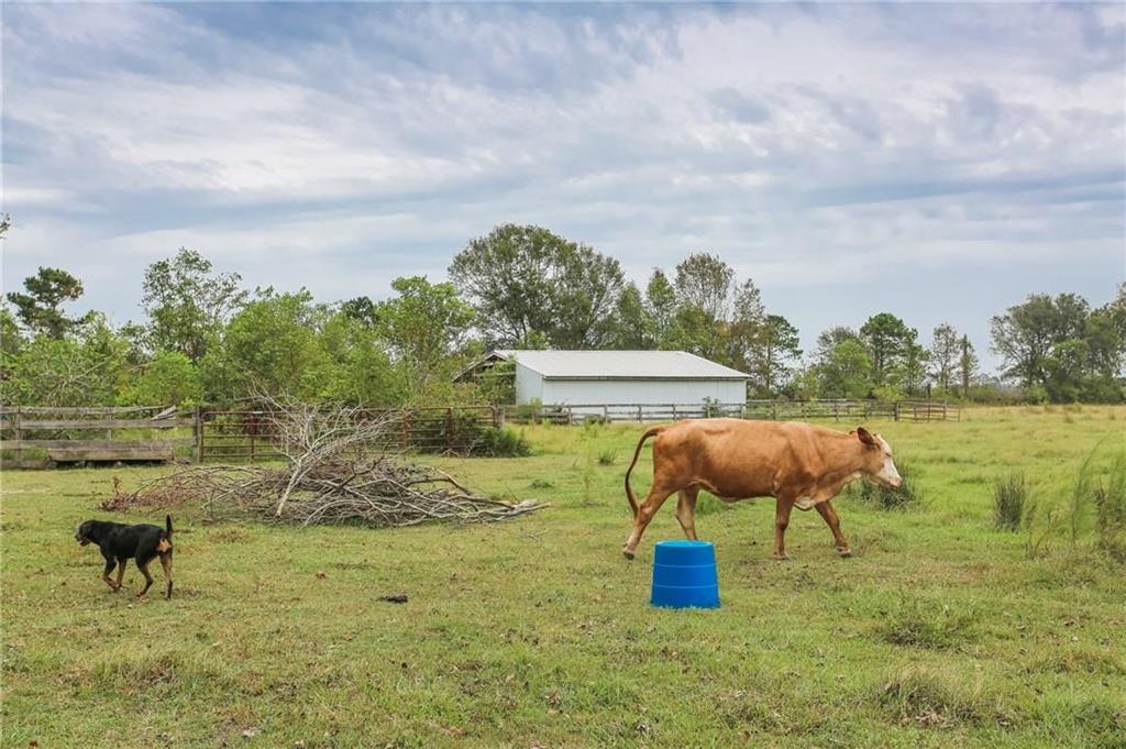26595 Lebleu Road Kinder, LA 70648 - Photo 27 of 35
