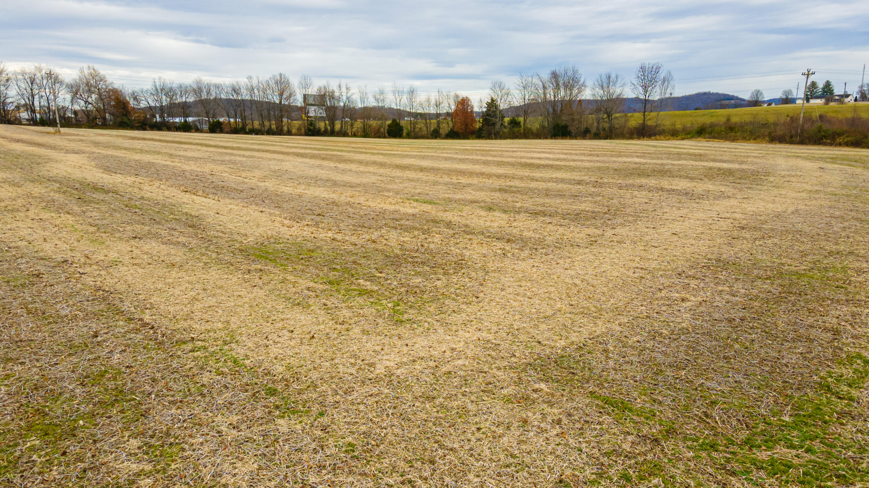 181 Surrey Hill Road Monticello, KY 42633 - Photo 4 of 16 HWY 90 -8