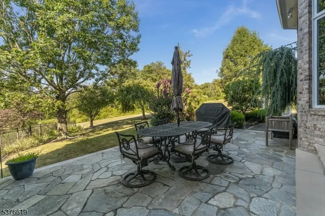 a view of a yard with plants and trees