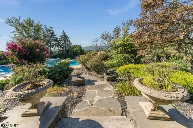 a view of a garden with plants