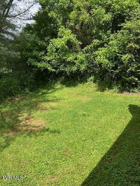 1144 Fairview Road Duffield, VA 24244 - Photo 13 of 19 IMG_7529