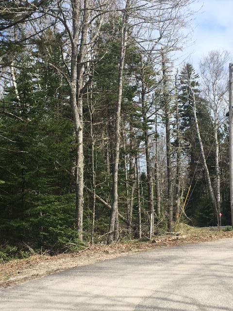 0 Peninsula Road Corea, ME 04624 - Photo 3 of 7 IMG_5358