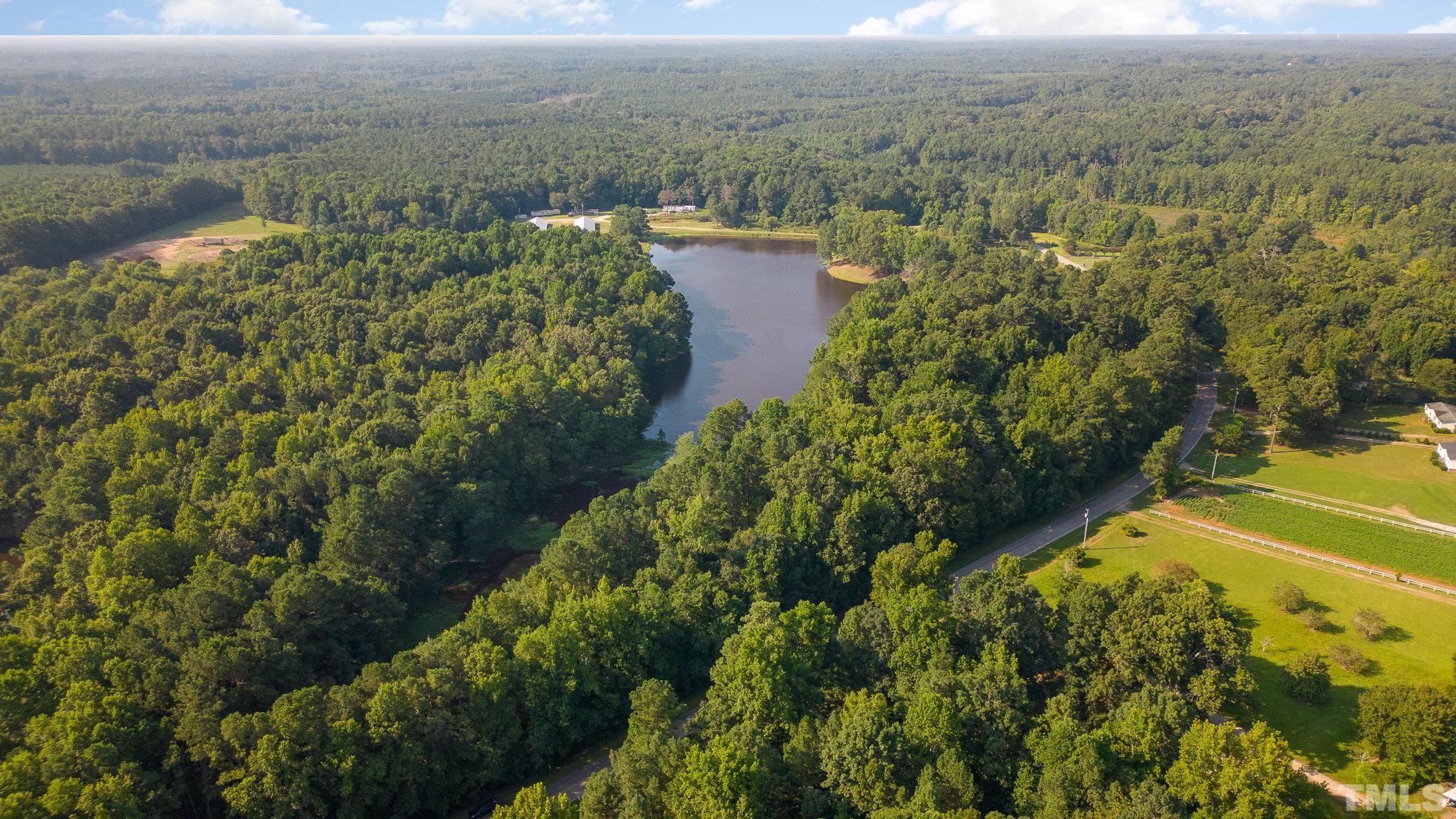 Lot 2 Wiley Road Spring Hope, NC 27882 - Photo 11 of 12 a view of a lake with a city